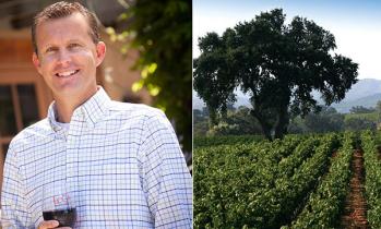 Lodi, el nuevo futuro de los vinos californianos